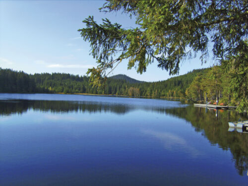 Edlesberger Teich Edelsberger Teich, Waldviertler Sternwarte Orion. www.martinsberg.at